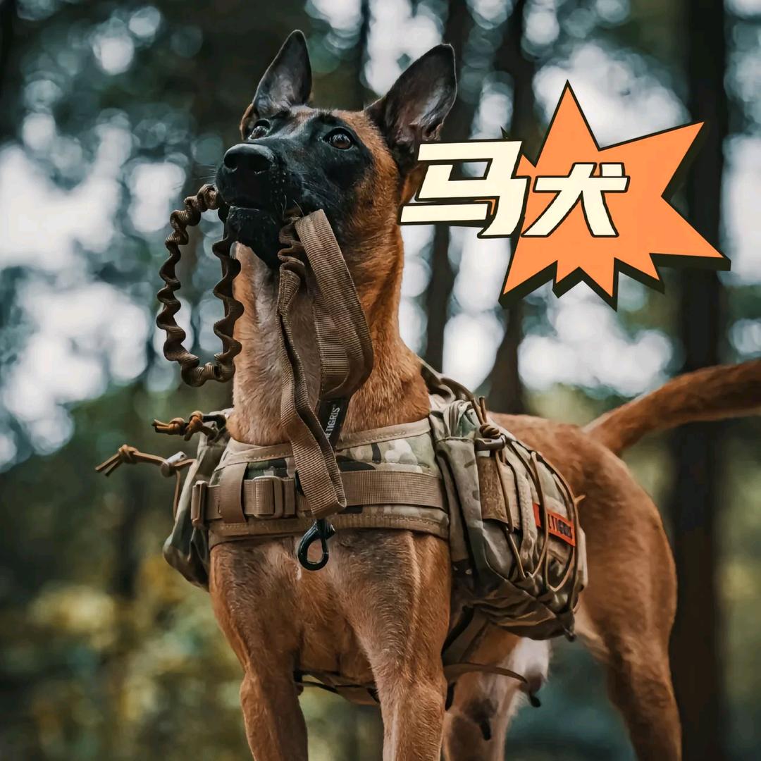 花式撸总冠军