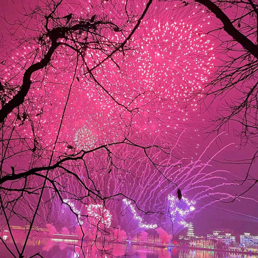 花有重开日