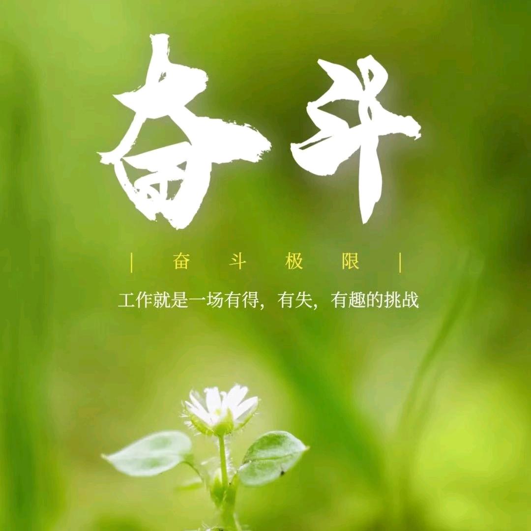 🍀美美ya🌻
