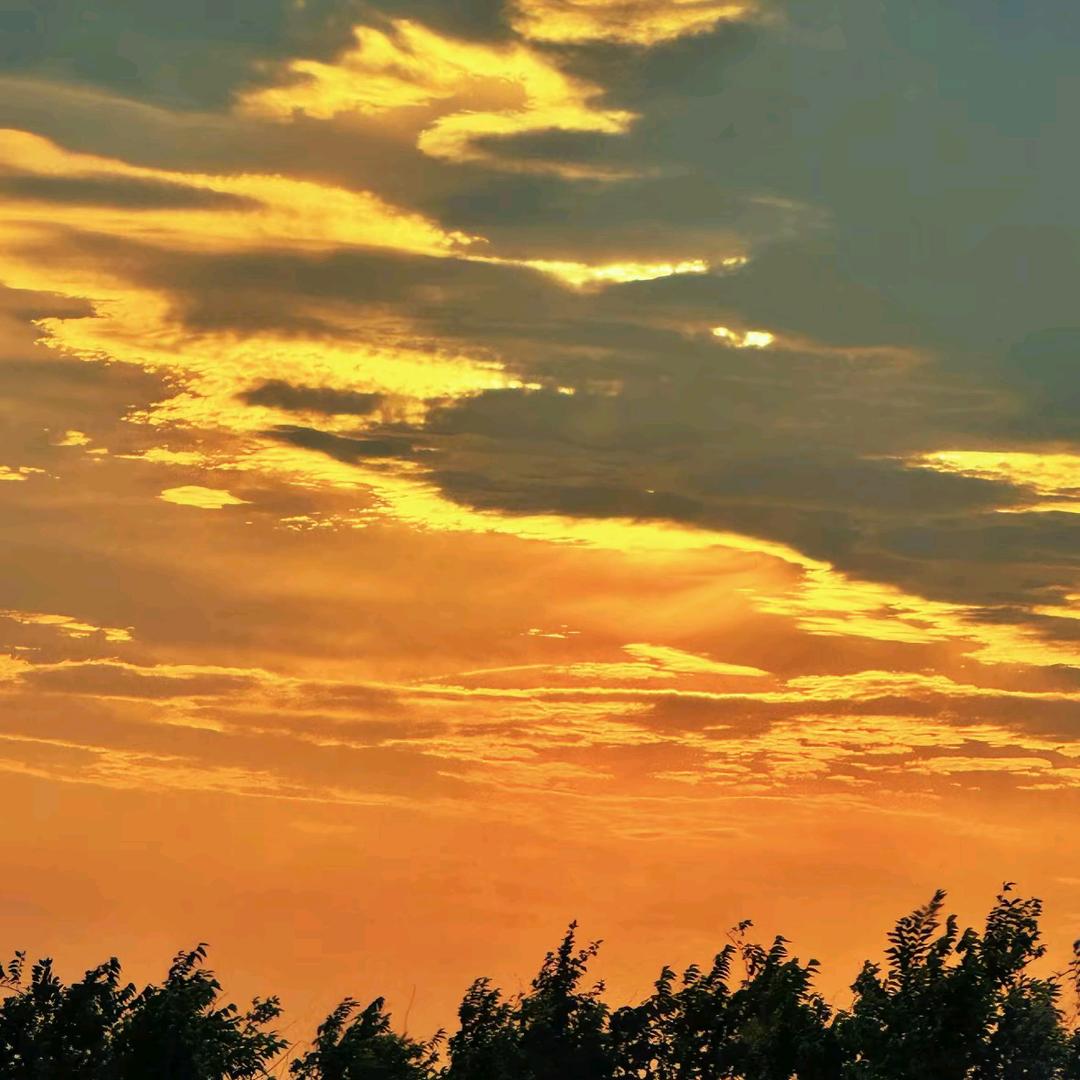 💰鼠到钱来💰