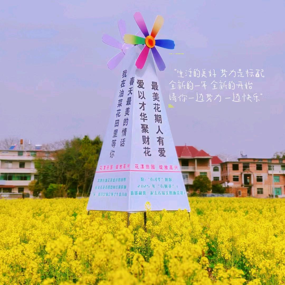 依依