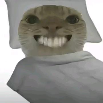 小新（三角洲跑刀接单）