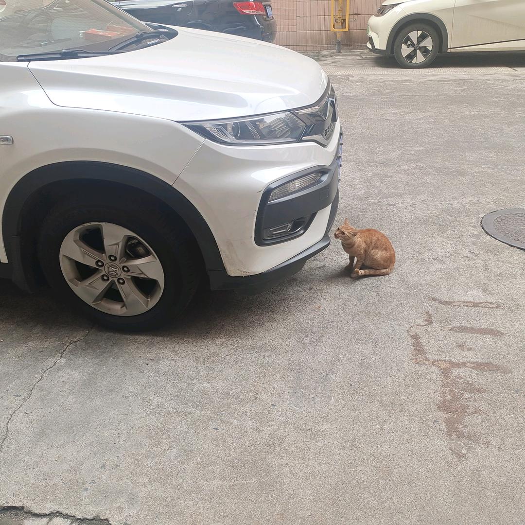 逆风而行