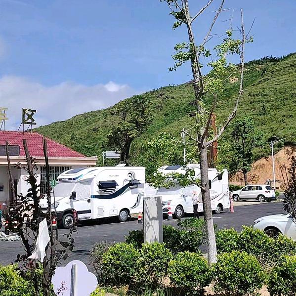小李