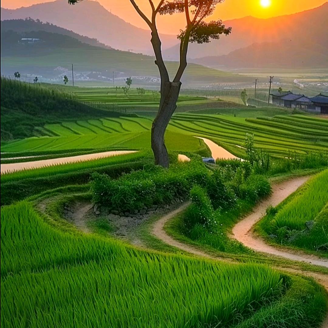 自然和头像