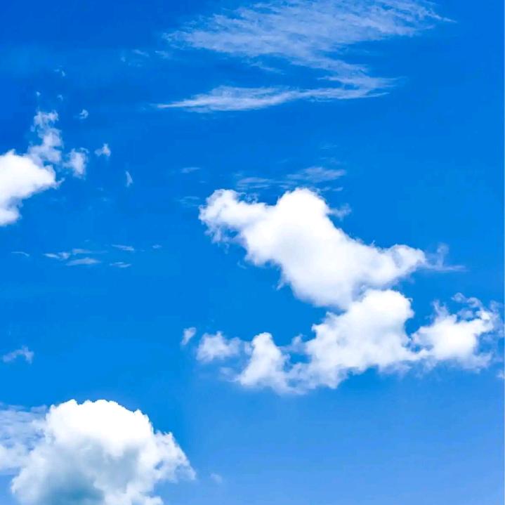 高达达高