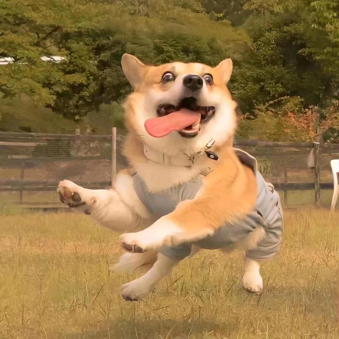 超超饲养员