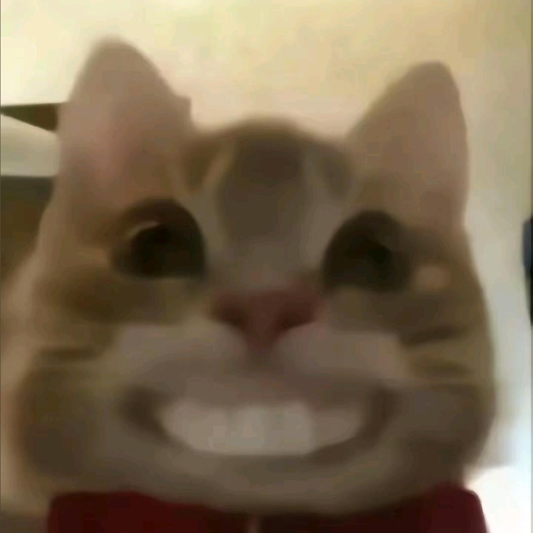 Os