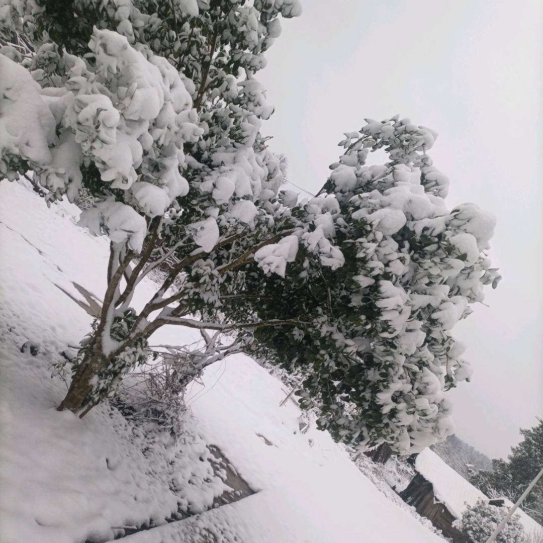 岁月不饶人：别来伤害我