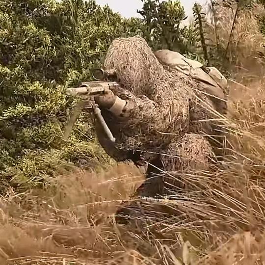 🦂小海的天空🦂