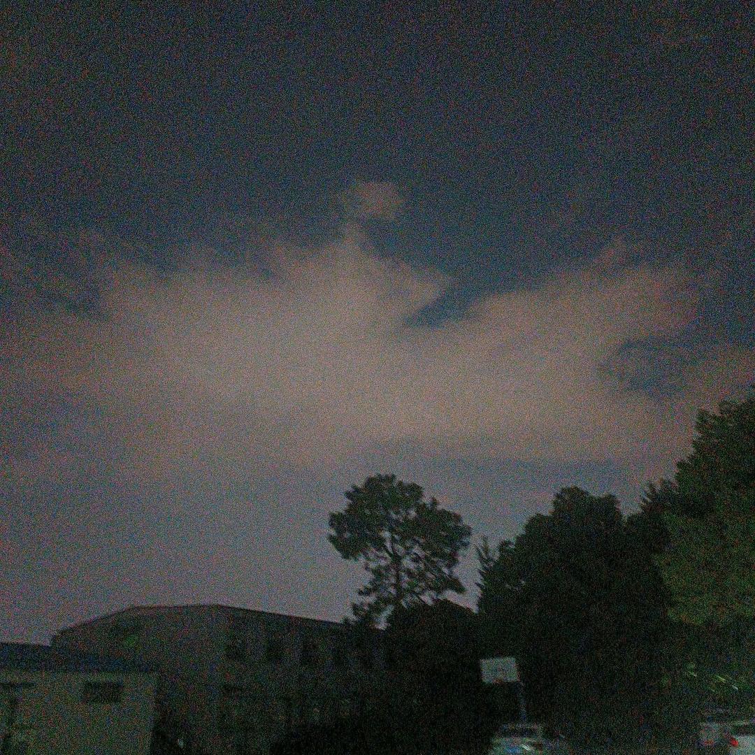 紫叶星辰