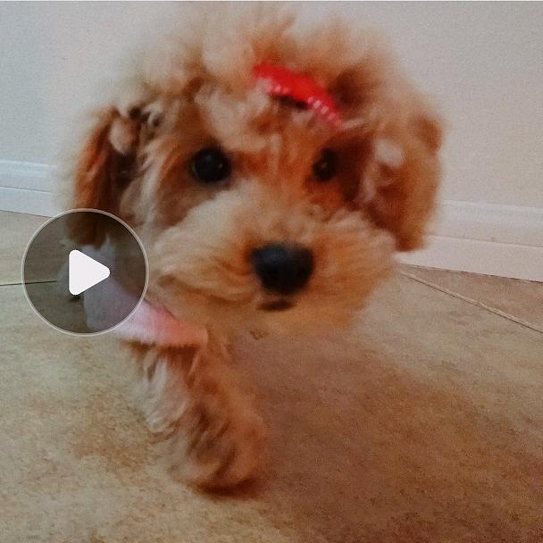 🎊兜☄兜☄⚜⚜🔮