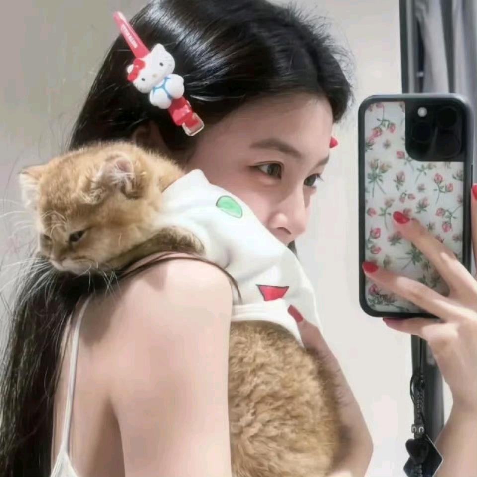 扛大腿的呆呆鱼