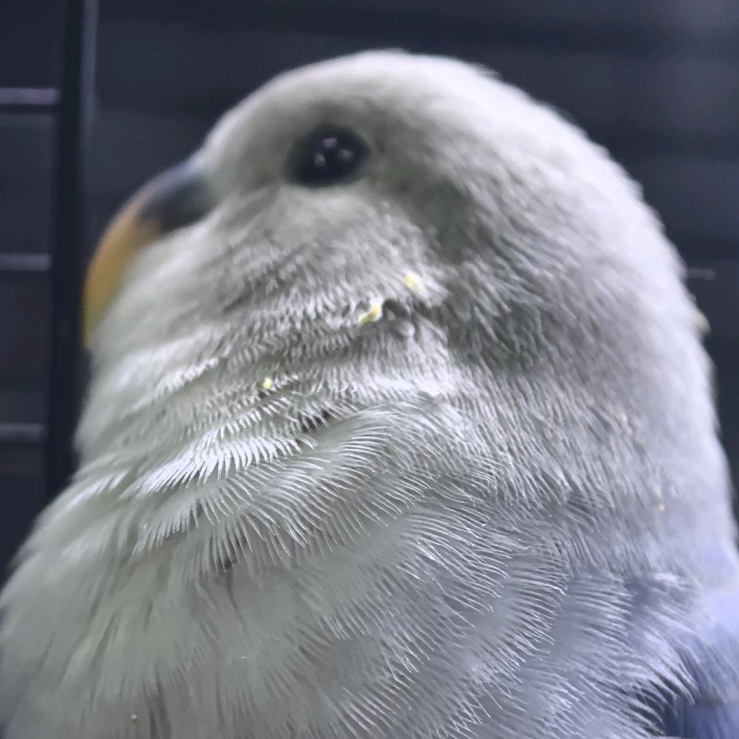 我的名字叫哒哒