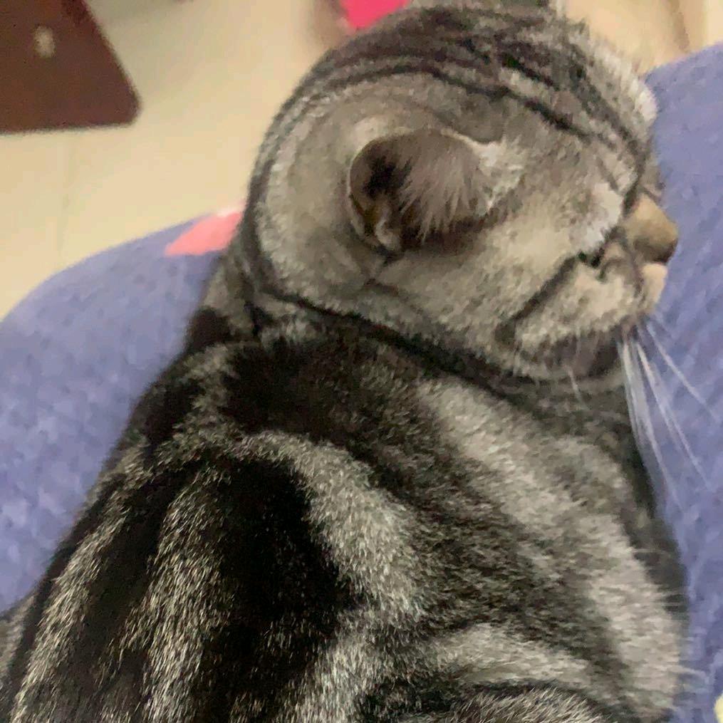 下乡淘老货