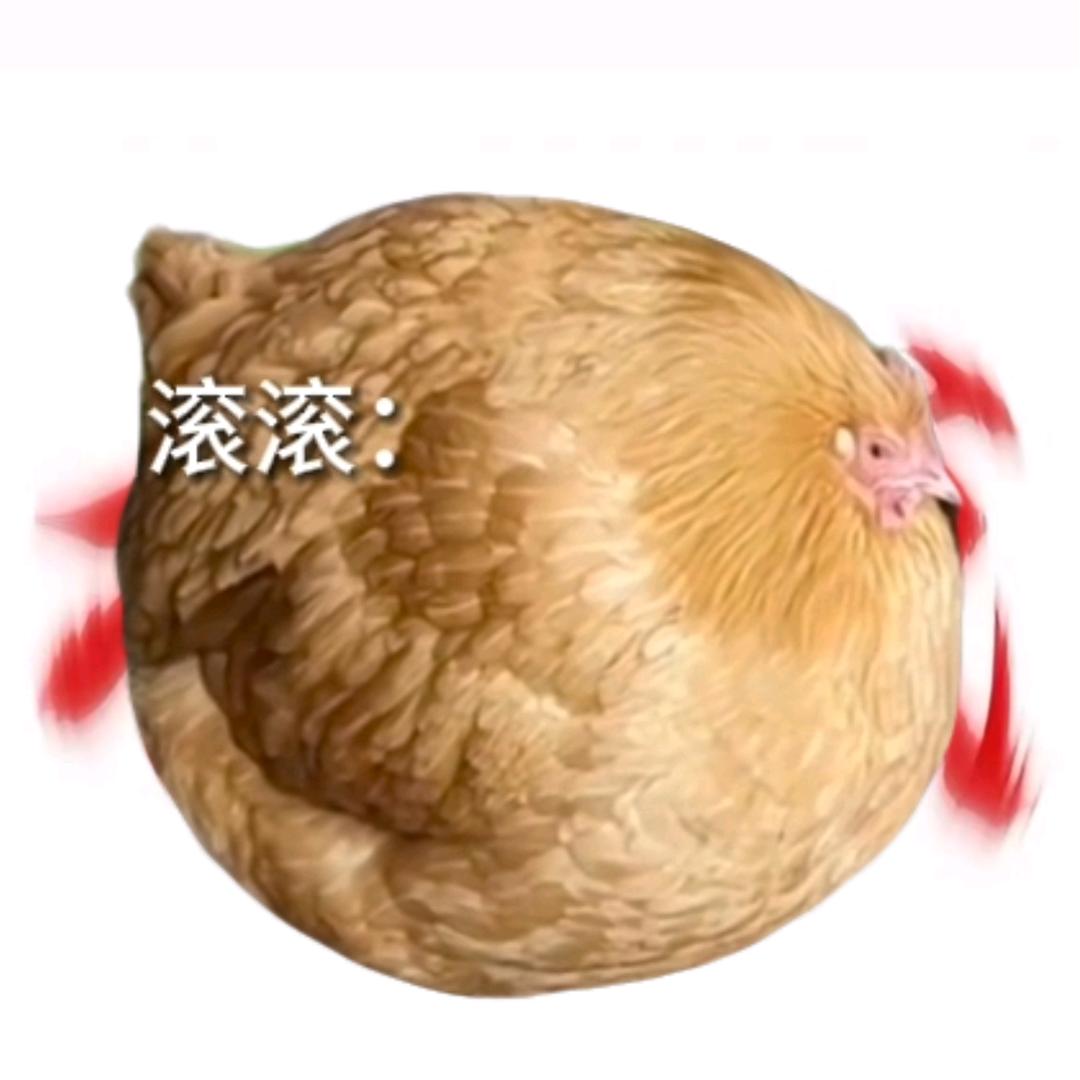 O哥ABAB