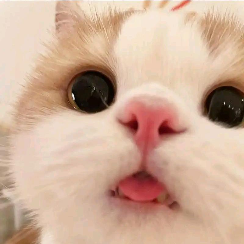 hapyy