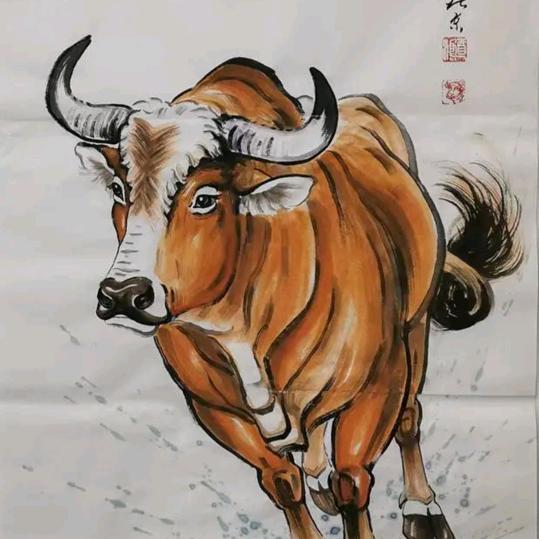 华哥好物分享