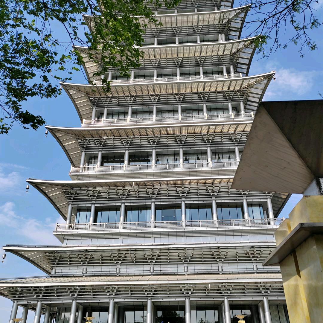 疤哥