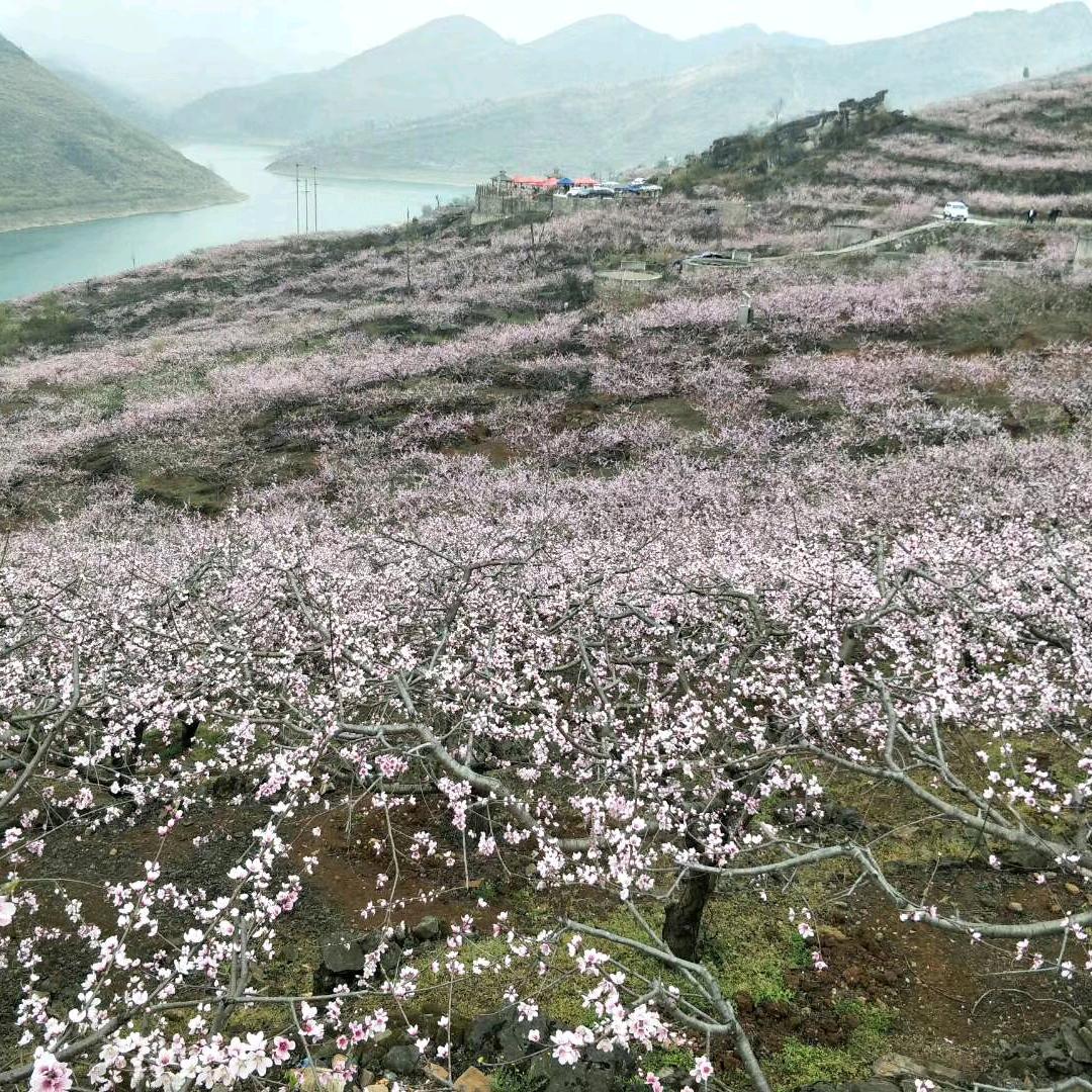 哥是过农村人