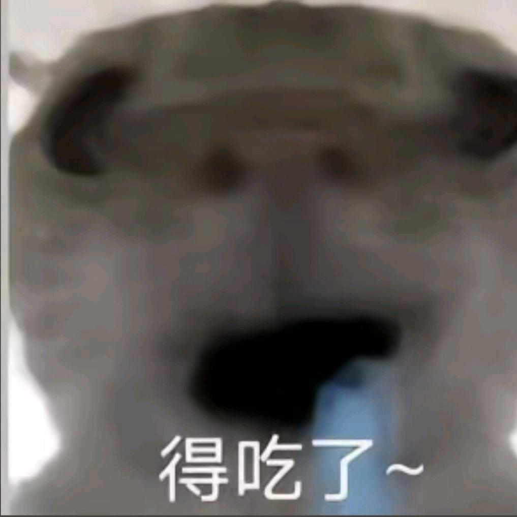 没人能懂鸡的美丽