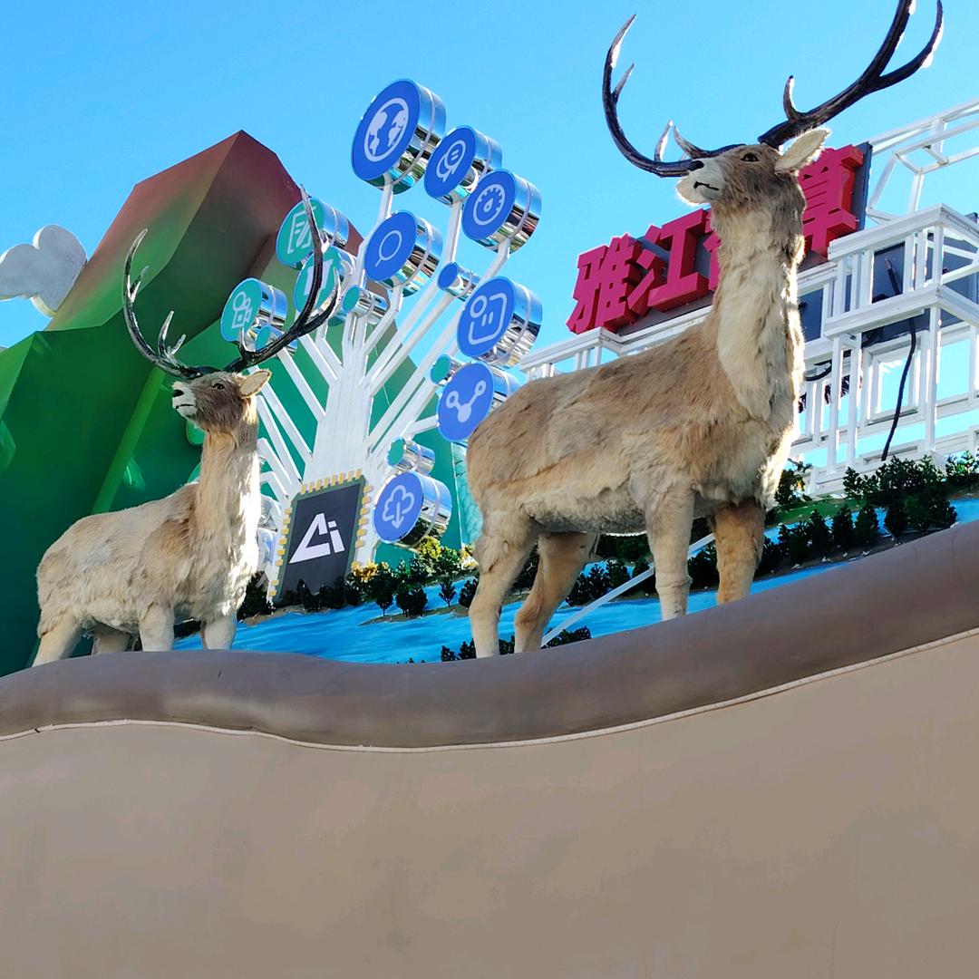 朋友的路上只有快乐