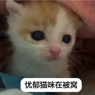 拒绝过彭于晏的女人