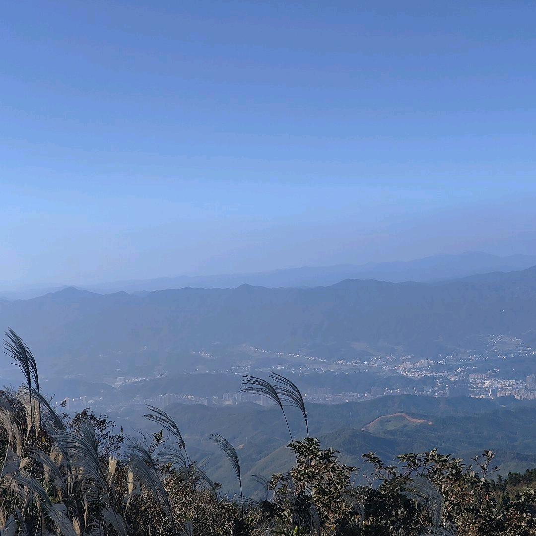 阿龙