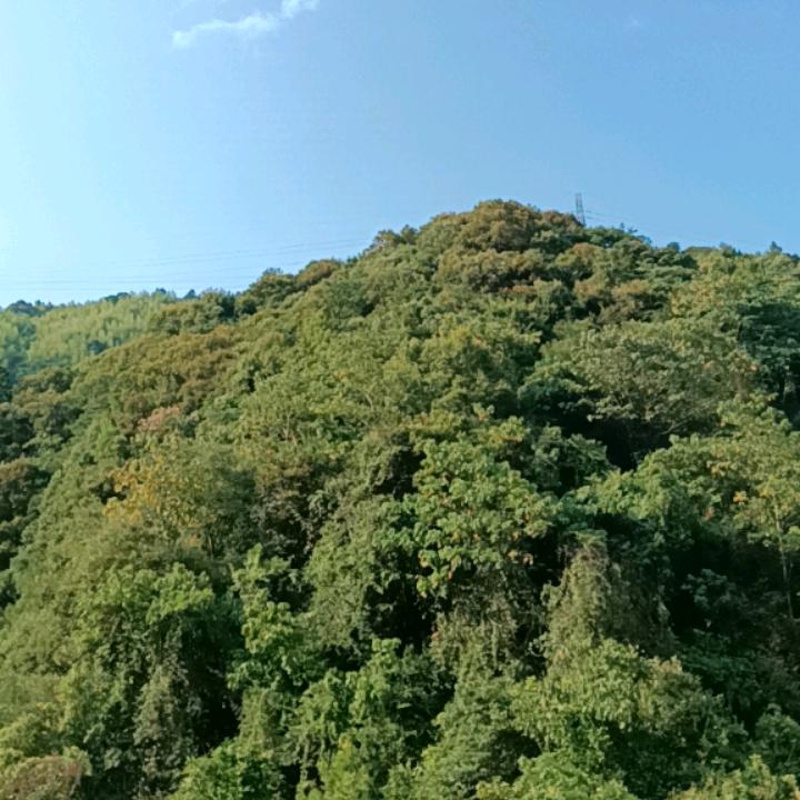 不在年少