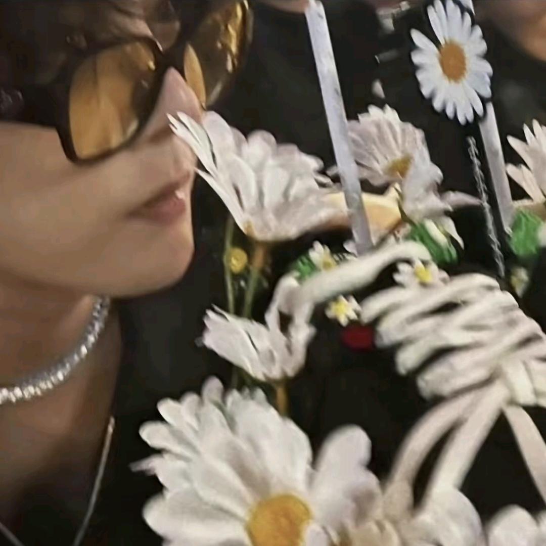 csgo秋刀鱼（减肥版）