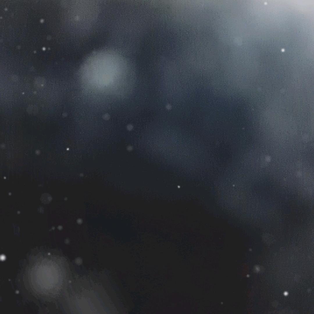 陈儿（注销）