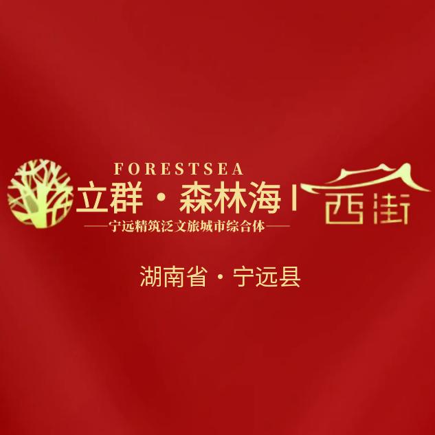 立群･森林海│西街