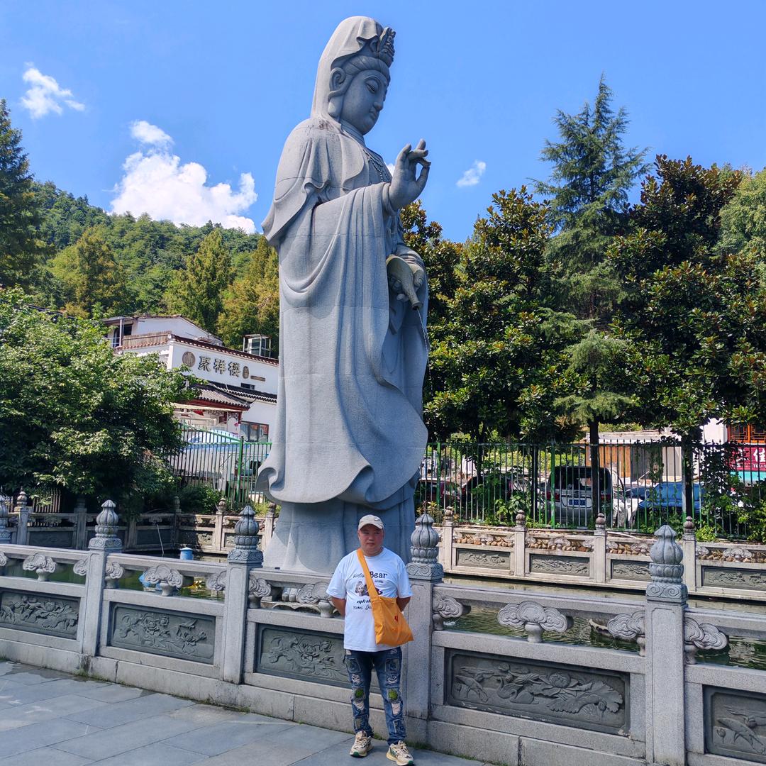 我愿赌不服输