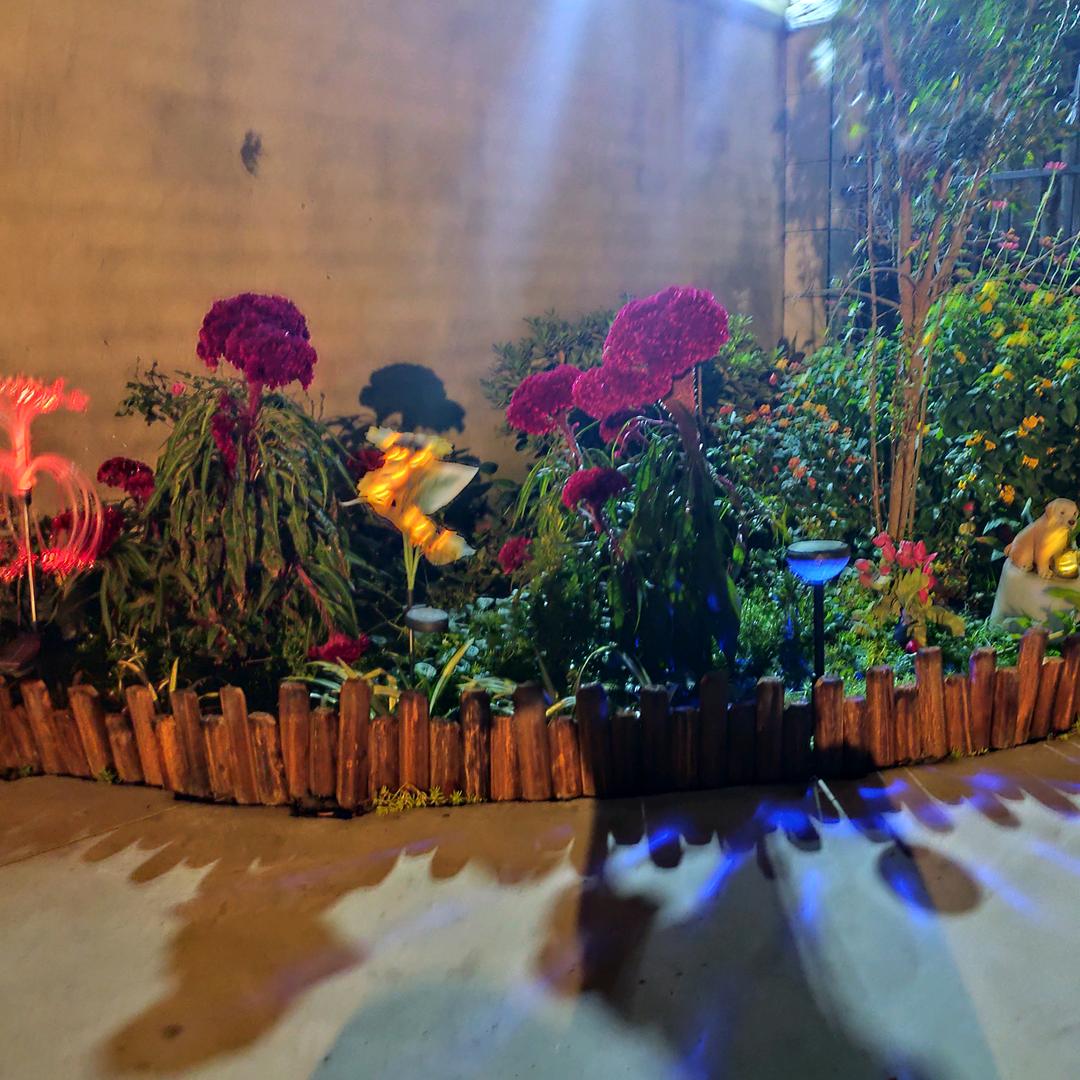 八零后🍎🍎🍎