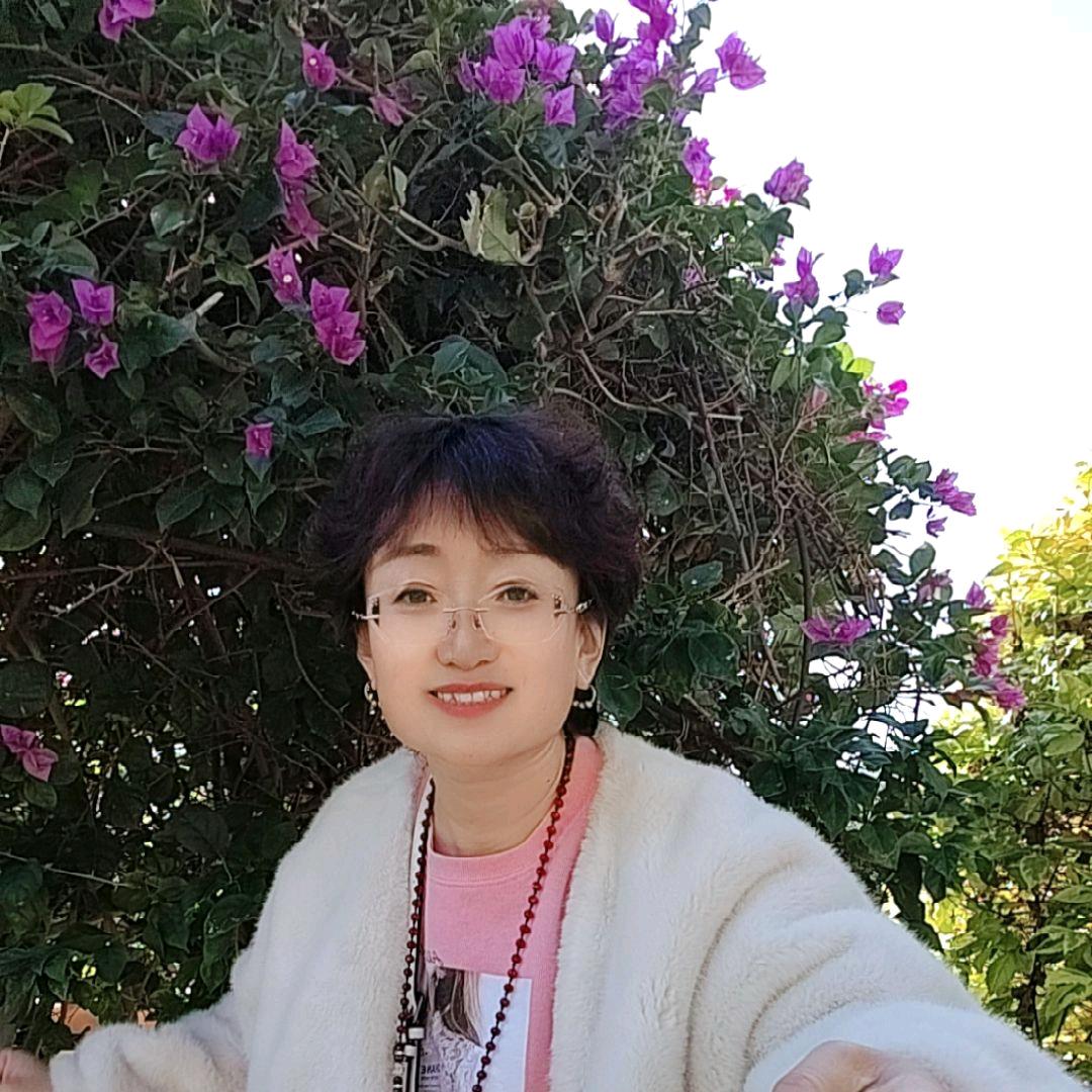 慢车道 （自由翱翔）