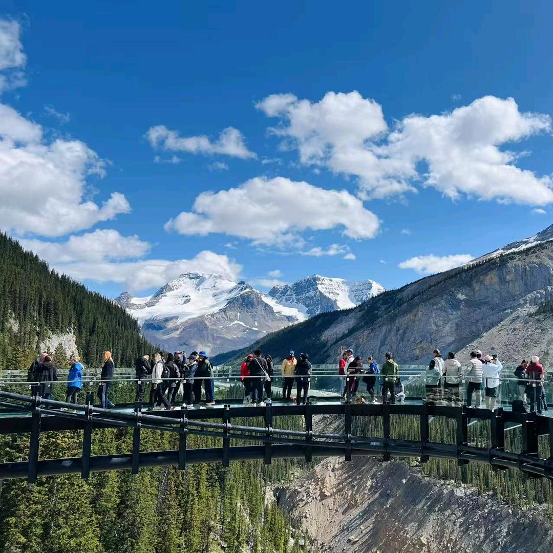 🎶星辰大海🎶