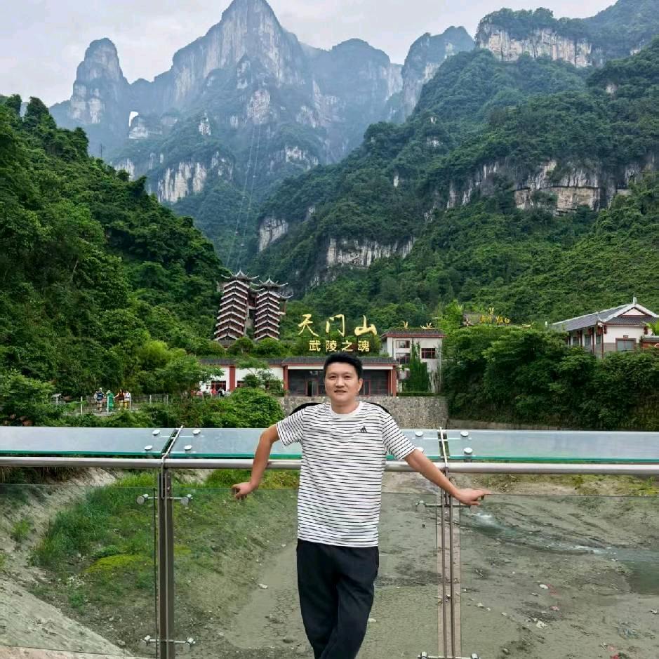 鸿胜人力，张生