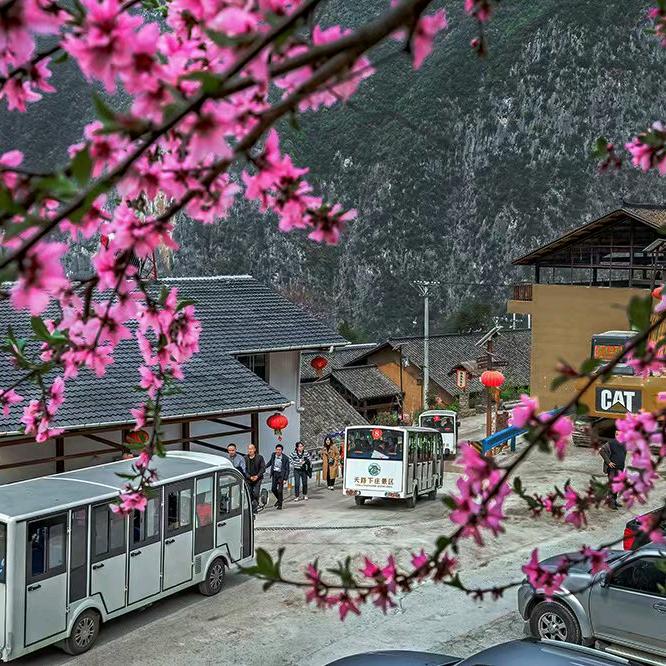 下庄天团经纪人