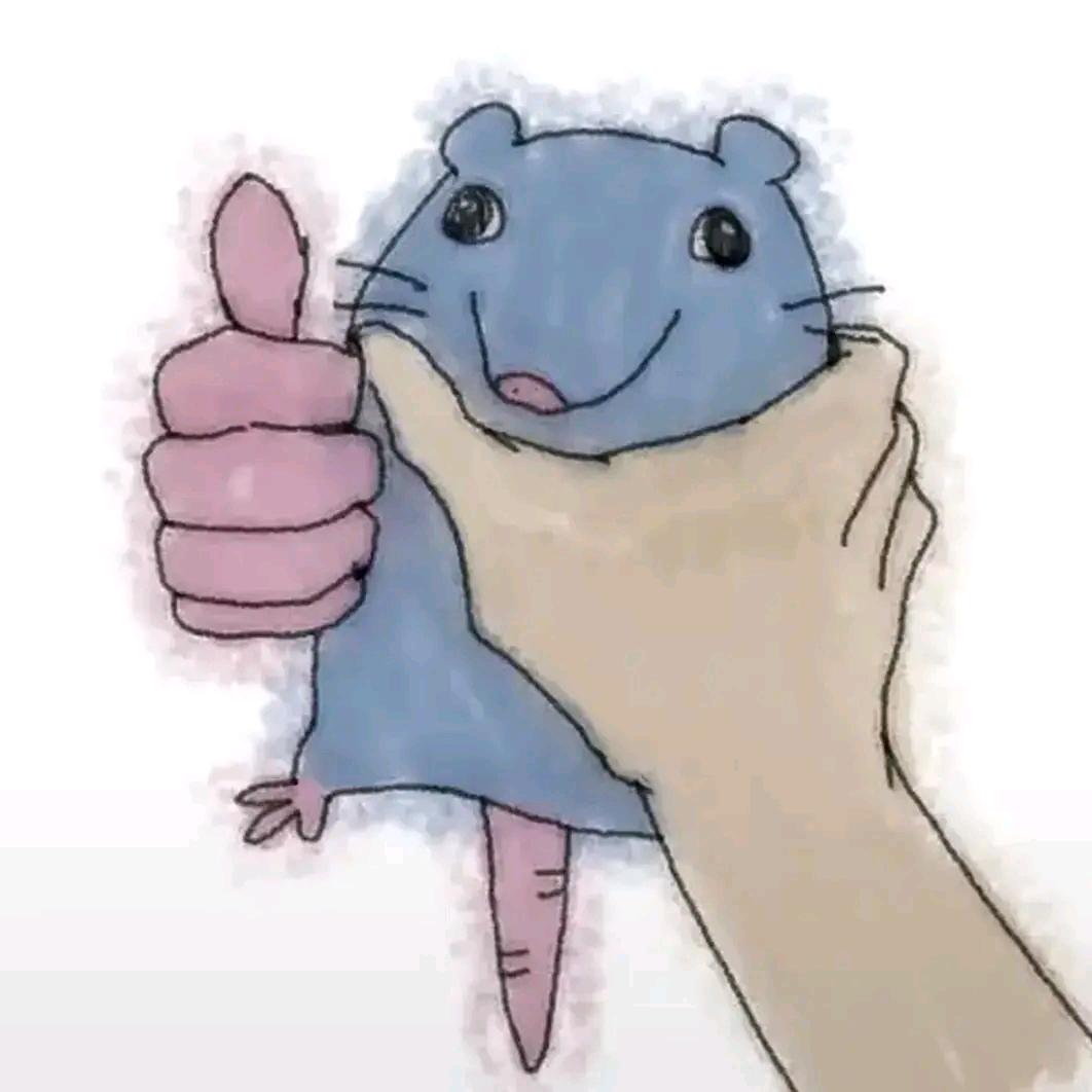 💞专业灭鼠（包效）💞