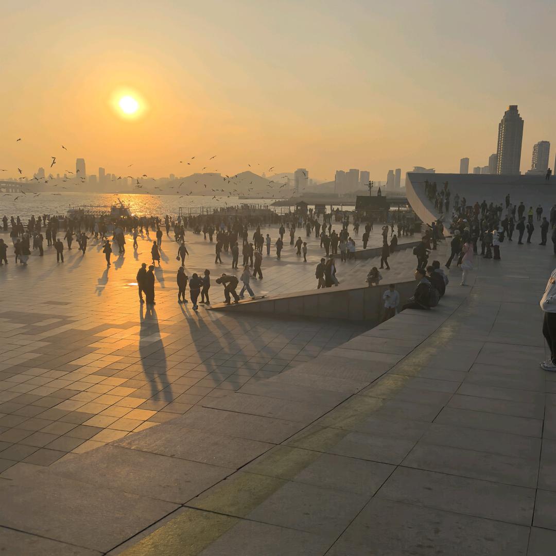 🚥🚦🚦🚥🚦🚥🚦🚥