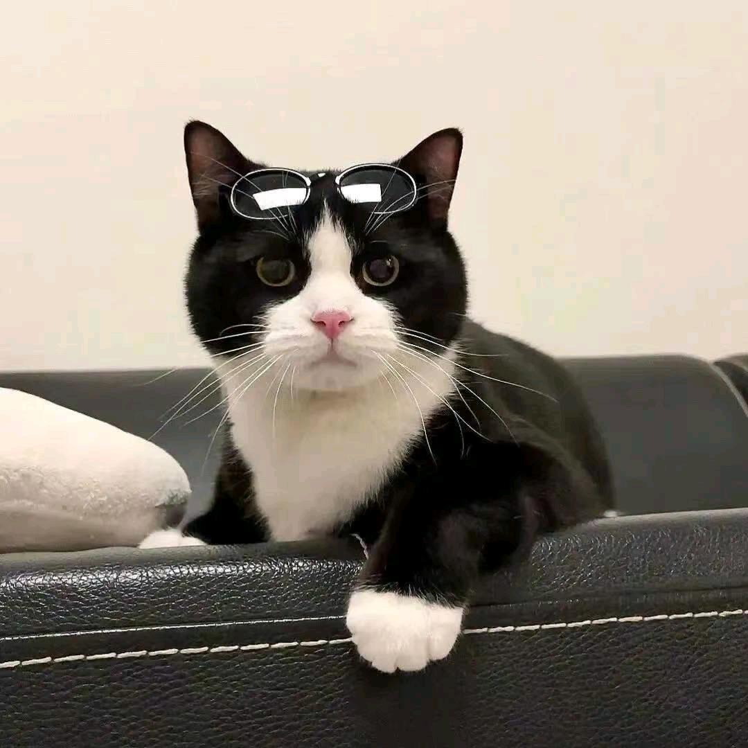 啊捷