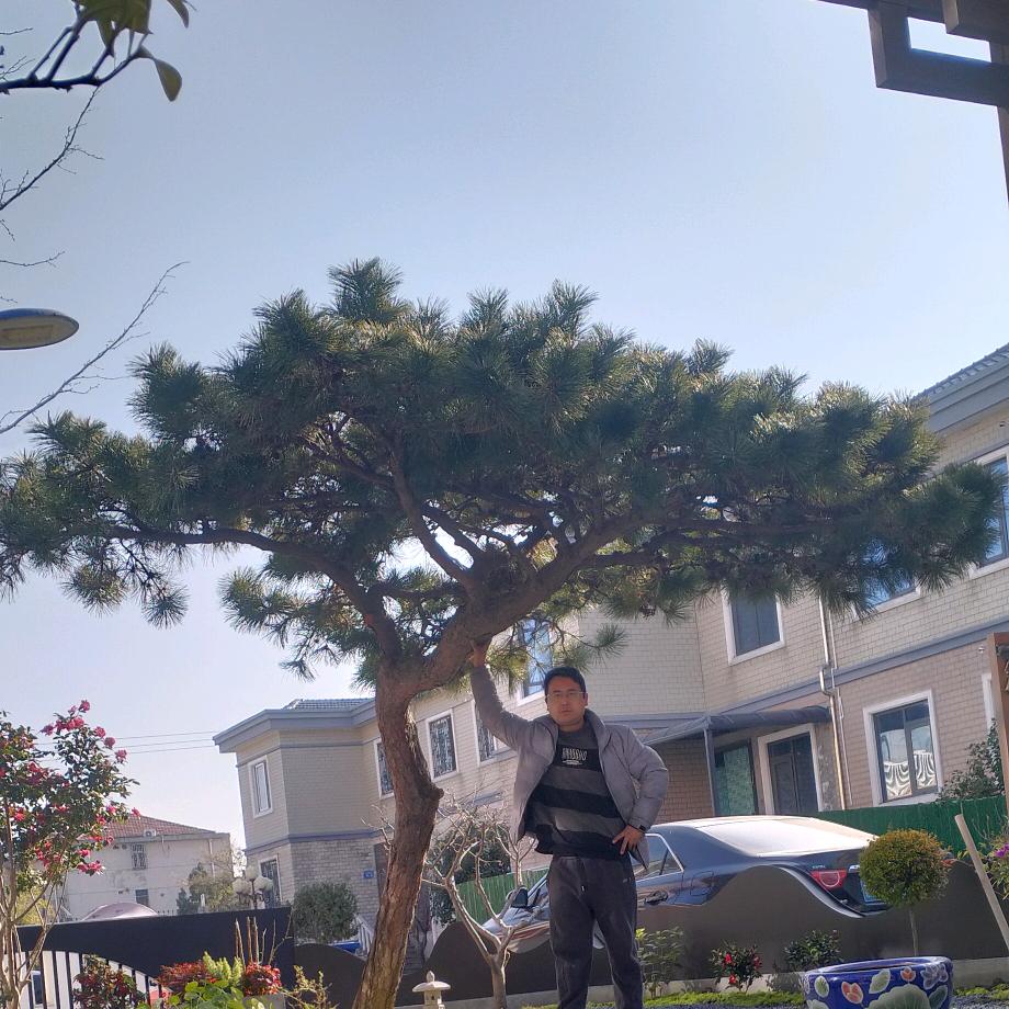 路子