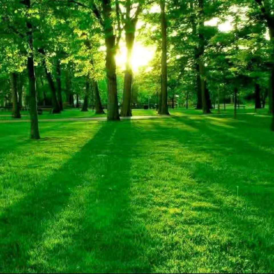 艳艳时光拒绝闲聊