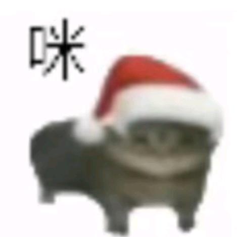 小陈大王