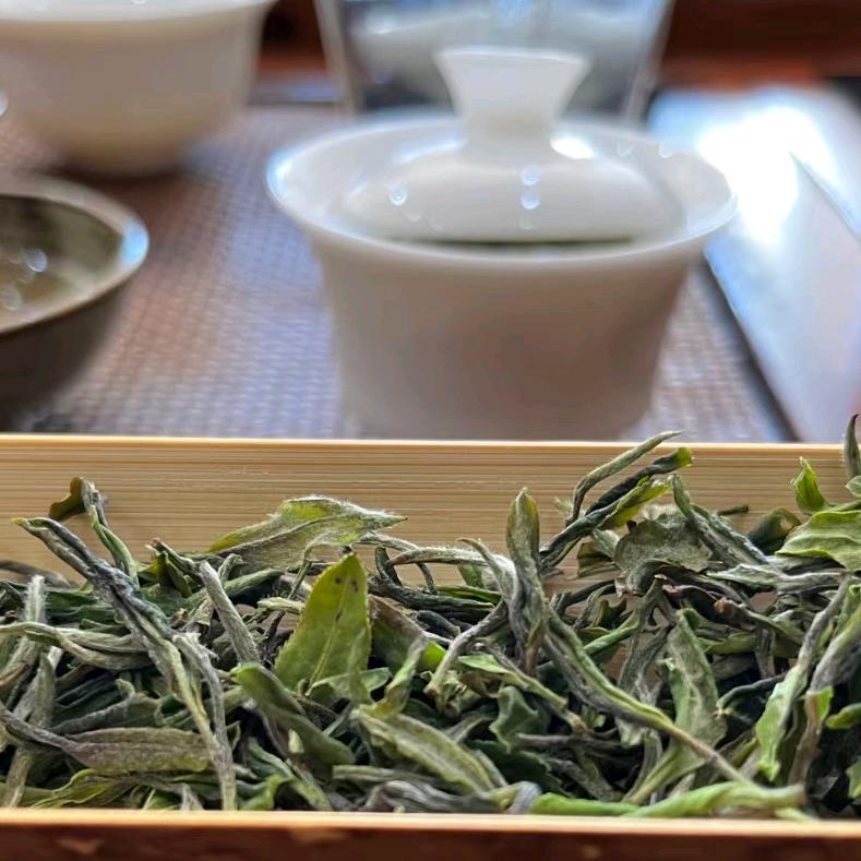 大知荼荼