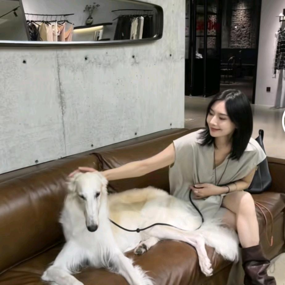 jccc(穿搭分享）