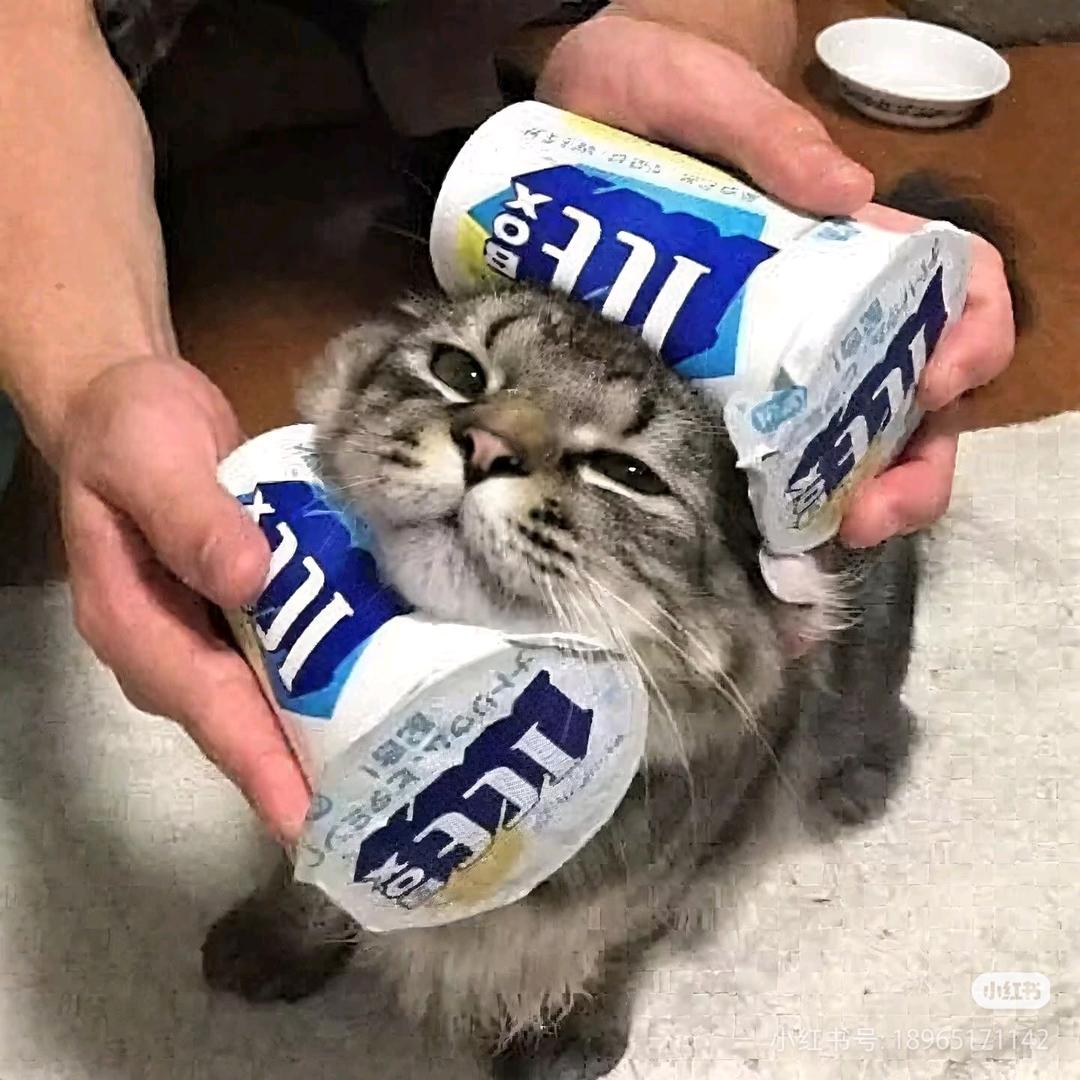 淮生（高考版）