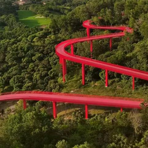 陈陈（拒绝连赞）