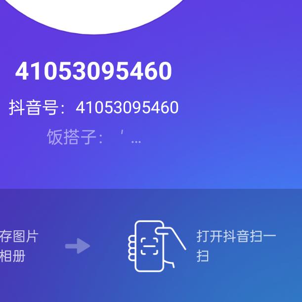 41053095460