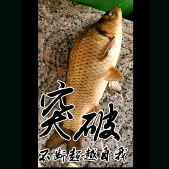 交个朋友，聊聊就熟悉了！